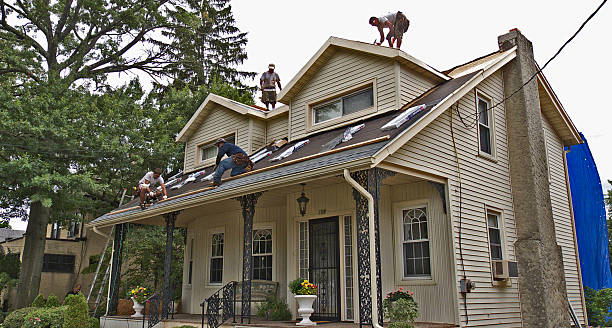 Best Roof Maintenance Services  in Vance, AL